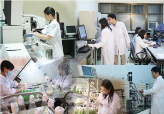 Nguồn nhân lực khoa học kỹ thuật và công nghệ (ảnh minh họa)