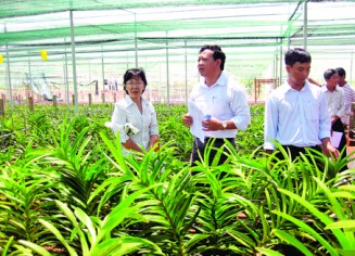 Nguồn nhân lực KHCN khoa học tự nhiên (ảnh minh họa)