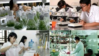 Những yếu tố tác động đến nguồn nhân lực KHCN tỉnh An Giang (ảnh minh họa)