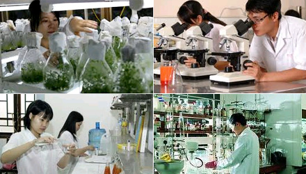 Những yếu tố tác động đến nguồn nhân lực KHCN tỉnh An Giang (ảnh minh họa)